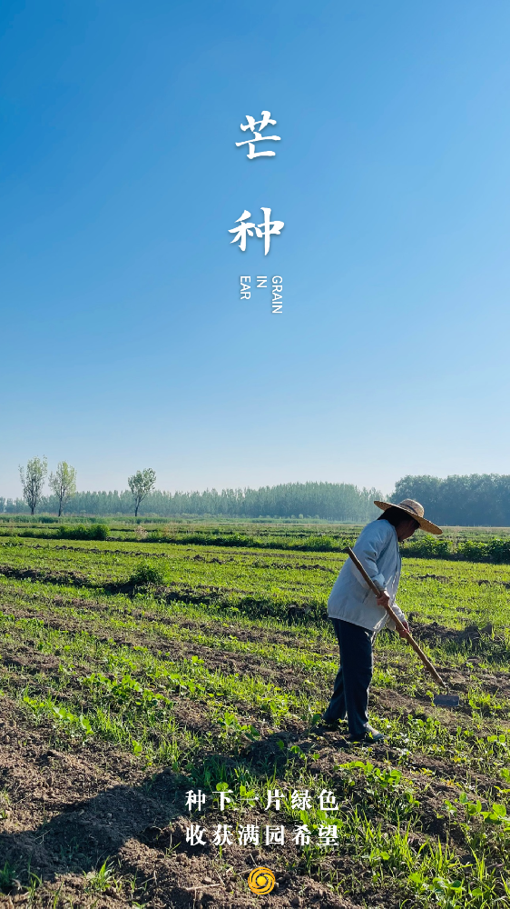 芒种下的天真园：有盛夏的热烈，也有清风的姿态。