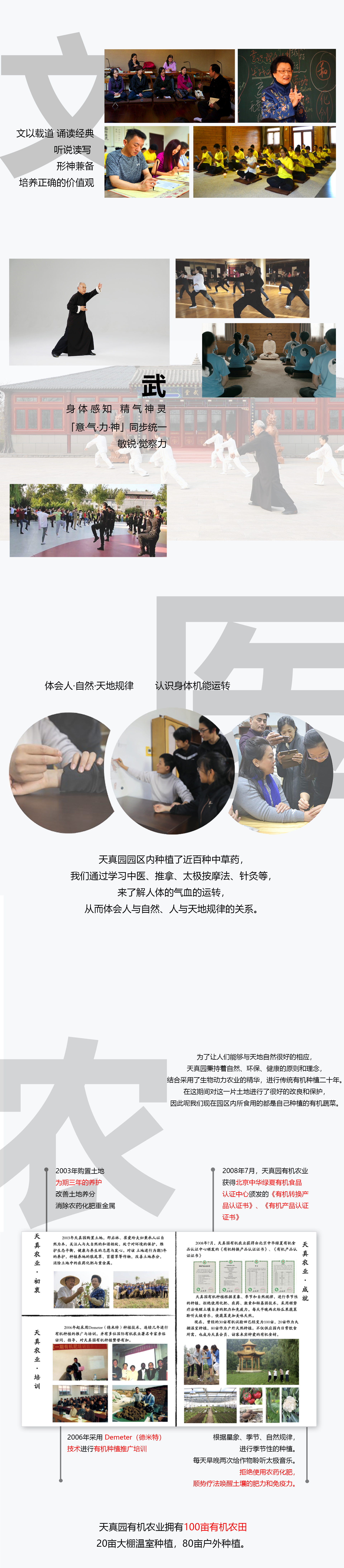 画板 1.jpg