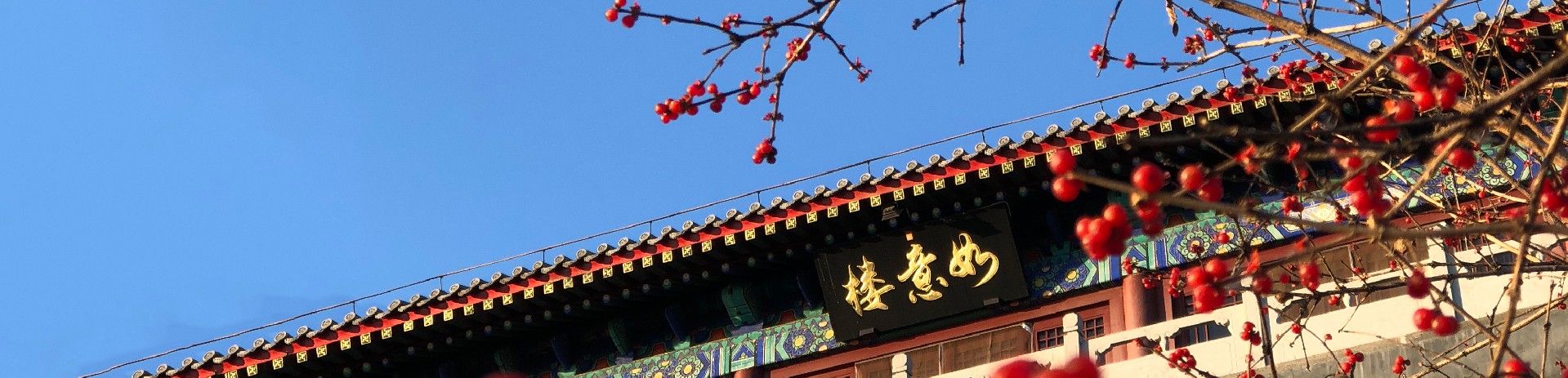 师资团队
