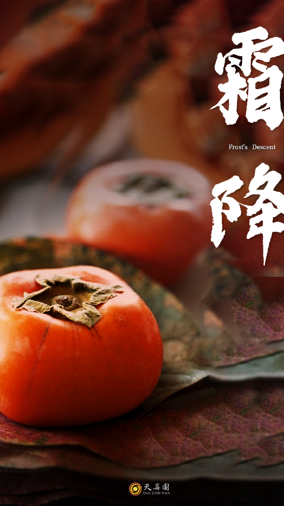 霜降：“好柿成霜，喜从天降。”​