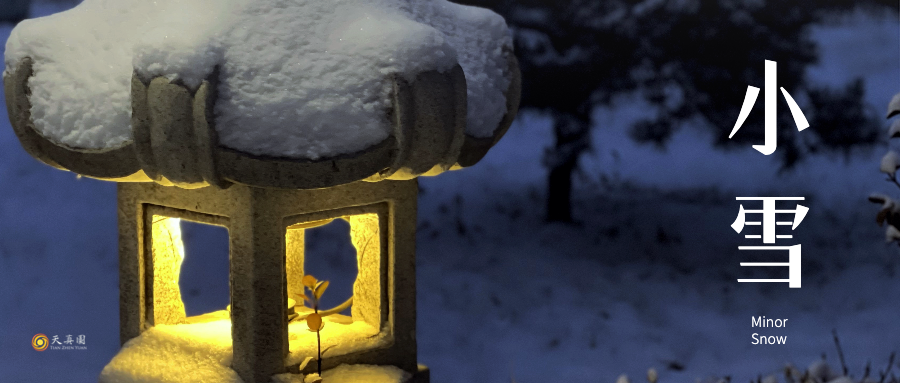小雪：冬季养藏的要点，在这里。